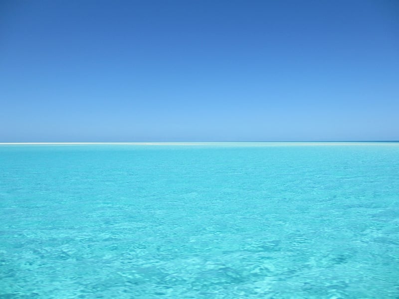 Sunny Seashore