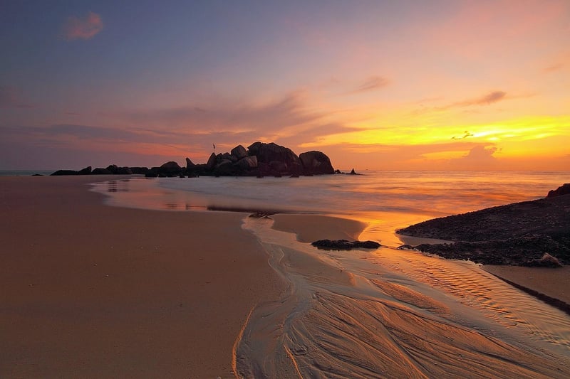 Sandy Shore